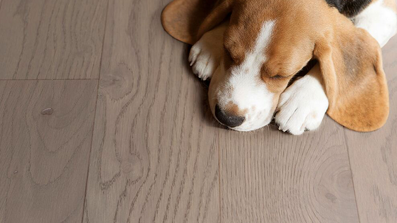 得高環(huán)保地板嚴標準、高品質(zhì)！ 圖片7