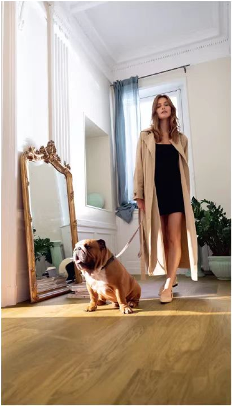 “寵物友好型”地板，得高Quick-Step無懼生活考驗 圖片 8