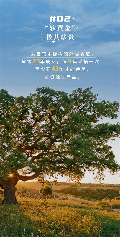 無懼挑剔眼光，裝飾材料的天花板！ image4