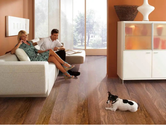 減到寶了！得高新春家裝補貼火熱進行中！ image